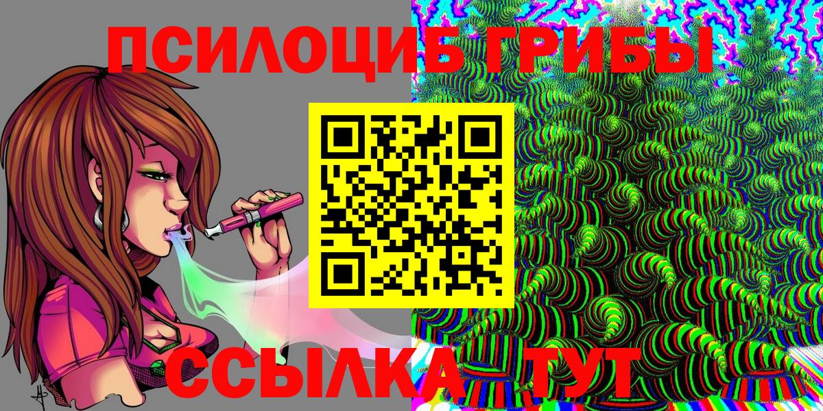 Псилоцибиновые грибы Psilocybe Прокопьевск