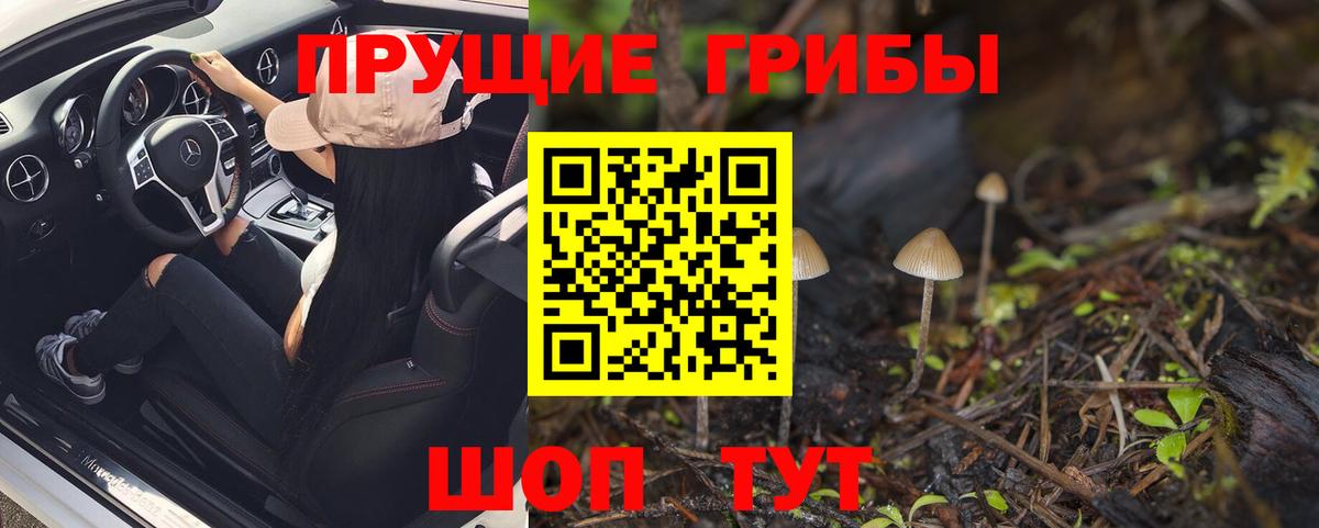 Прокопьевск  Галлюциногенные грибы MAGIC MUSHROOMS  Галлюциногенные грибы Psilocybe  Вход с VPN 